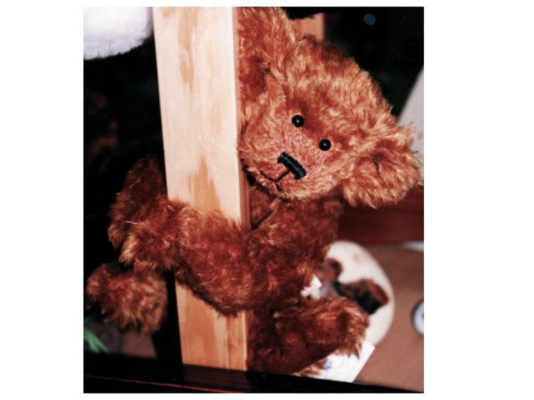 Pierre des Volcans, le 1er ours de la collection
